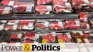 RCMP investigating fake documents after China halts Canadian meat imports | Power & Politics