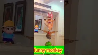 funny monkey#109 #140 #1k #shorts #monkey #video