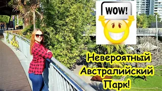 Это Австралия, Детка! Рыбы, Которым Надоело Жить в Воде и Живые Драконы 😲 Удивительная Австралия