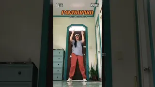 PANTROPIKO slowed Dance Tutorial -TikTok dance