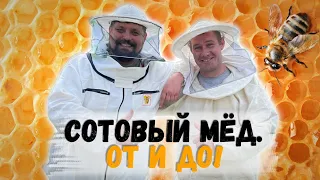 Мёд в сотах. Как его правильно приготовить?