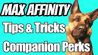 Perfect Fallout 4 Playthrough (Part 9) - Affinity and Companion Perks