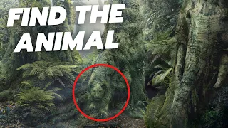 Can you find all the hidden animals? - QUIZ