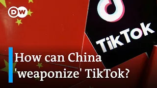 Why do world governments fear TikTok — and should we? Tech expert Scott Galloway explains | DW News
