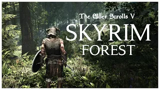 Skyrim's Forest | Traverse The Ulvenwald | Folkvangr Grass