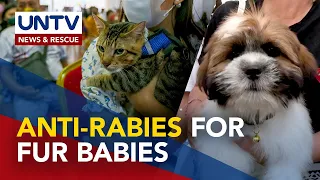 Pasig City LGU, DOH treat fur babies to mass anti-rabies vaccination drive