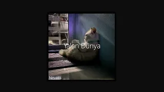 Murat Dalkılıç - Yalan Dünya // Slowed + ReverB