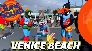 TUNE SQUAD VS. EVERYONE || PROFESSOR BUGS BUNNY  VENICE BEACH (SPACE JAM IRL)