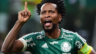 Zé Roberto ● The Legend ● Palmeiras ● 2015-2016 ► HD