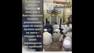 Рауда - райский сад на земле. Дом пророка Мухаммада ﷺ мир ему и благословение Аллаха.