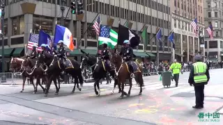 2014 NYC Veterans Day Parade 1