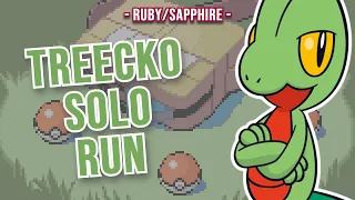 Can you beat Pokémon Ruby/Sapphire with only a TREECKO? - NO ITEMS CHALLENGE