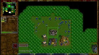 Warcraft 2 Mini Chop Farms 4v4