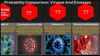 Death Probability Comparison: Viruses And Diseases