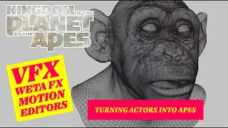 Weta Digital VFX Motion Editors On Turning Actors Into Apes for Kingdom of the Planet of the Apes