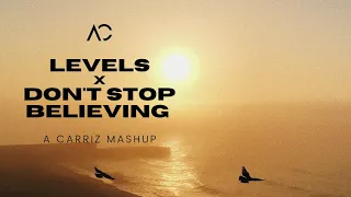 Levels x Don't Stop Believing - A Carriz Mashup