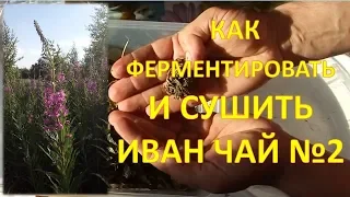 КАК ФЕРМЕНТИРОВАТЬ И СУШИТЬ ИВАН-ЧАЙ. Копорский чай. Чай из кипрея.