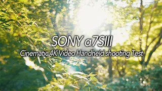 【SONY α7SIII】【Sigma 24-70 F2.8 DG DN Art】 Cinematic 4K Video Handheld shooting Test