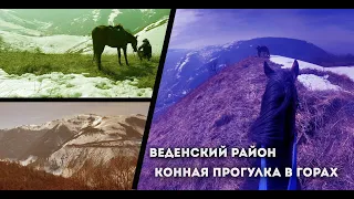 Конная прогулка. Веденский район Чеченская Республика.