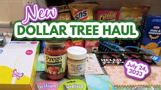 New DOLLAR TREE HAUL!  Everything's a $1.25  July 24, 2023