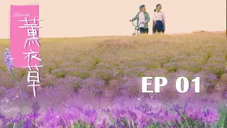 【薰衣草 Lavender】EP01