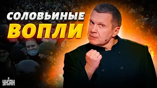 Вопли Соловьева вышли на новый уровень: что делать с одурманенными россиянами