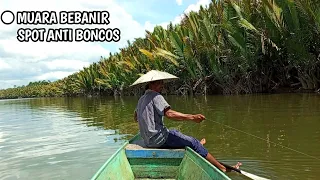 INI DIA KEUNGGULAN UMPAN UDANG HIDUP, BARU DI LEMPAR LANGSUNG DI TARIK, MANCING KULUP DI MUARA