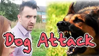 Dog Attack | OZZY RAJA