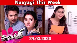 Naayagi Weekly Recap 29/03/2020