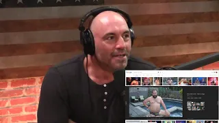 Joe Rogan meets Joe Rogan