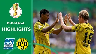 Brilliant Performance by Brandt, Haller and Co. | Schott Mainz vs. Borussia Dortmund 1-6 | DFB-Pokal