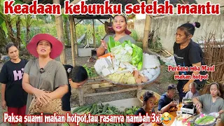 KEADAAN KEBUNKU SETELAH MANTU⁉️ Panen bermacam" sayur & buah di samping rumah hasilnya sak umbruk