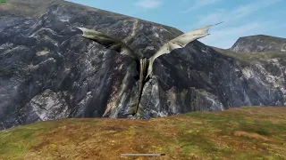 What happens if you fly into the border │Day of Dragons