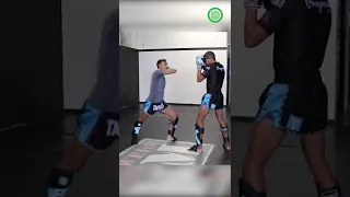 High Scoring Muay Thai Techniques - Body Kicks with Panicos Yusuf