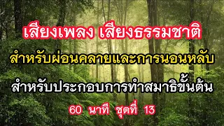 เพลง เสียงธรรมชาติ ผ่อนคลาย นอนหลับ ทำสมาธิ  60  นาที ชุดที่ 13