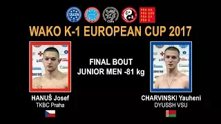 WAKO K-1 EUROPEAN CUP 2017 - FINAL BOUT JUNIOR MEN -81 kg