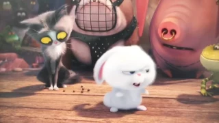 Life of pets rabbit poo