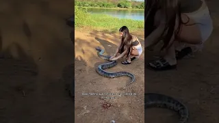 COBRA SUCURI 🐍 analisando pedido de inscrito