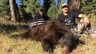 2016 Idaho Bear Hunt with Hounds