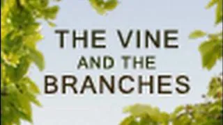 The Vine and the Branches - Paul Washer