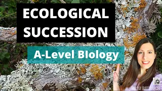 Ecological Succession: A-level biology.  Primary & secondary succession &each seral stage explained