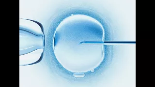Pressure for IVF success obscures ethical issues