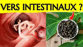 Vers intestinaux : Dites adieu aux parasites intestinaux avec les graines de papaye