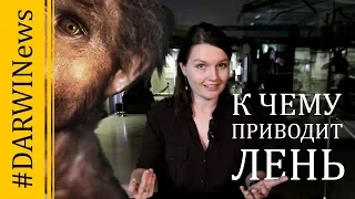 Еще одна причина исчезновения древних людей #Darwinews 8.5