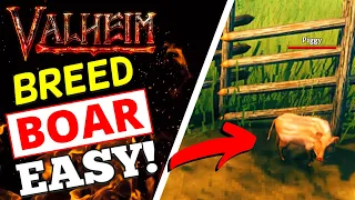 Valheim - How To Breed Boar! EASY METHOD!