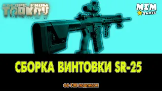 Сборка SR-25 Тарков / Escape from Tarkov (Побег из Таркова) - 12.7 [2020]