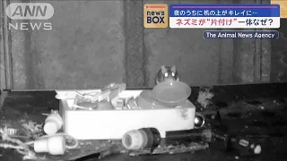 机の上が毎晩“片付く”なぜ？　設置したカメラに映ったのは…【スーパーJチャンネル】(2024年1月23日)