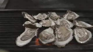 Jefferson Parish Oyster Trail creates ‘Yellow Brick Road’ for Louisiana seafood lovers