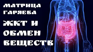 Correction of gastrointestinal tract and metabolism🔆Garyaev's Matrix🔆Quantum Sound Healing