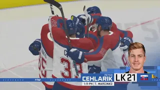 Slovakia - Great Britain | Group A IIHF 2020 Simulation | SK komentár